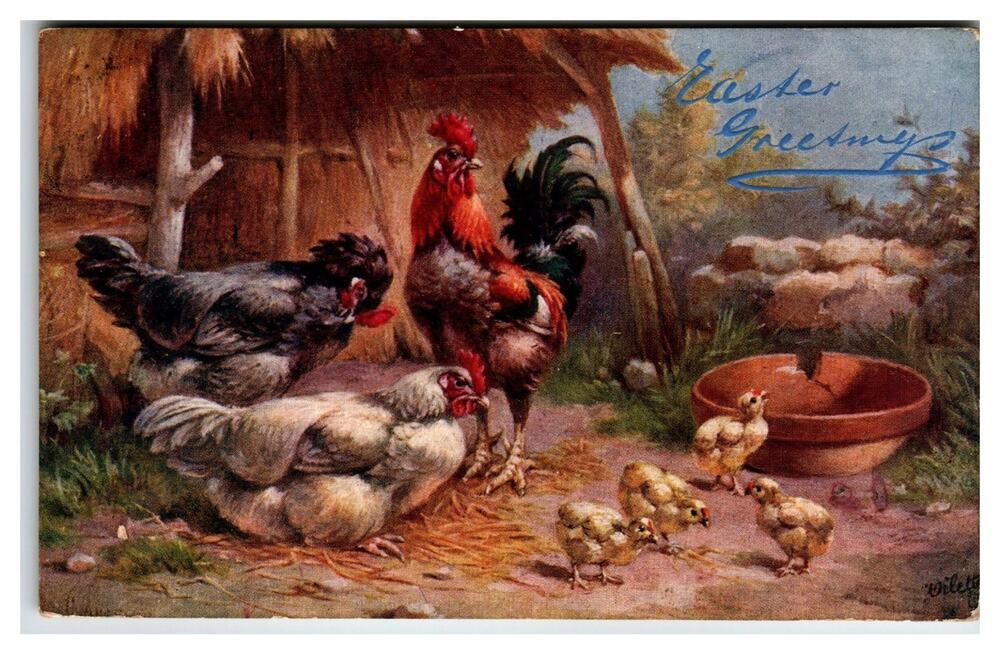 Antique 1908 Raphael Tuck Easter Poultry Yard Rooster Hens Chicks Postcard